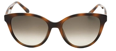 Ferragamo Sf1073s 240 Cat Eye Sunglasses In Grey