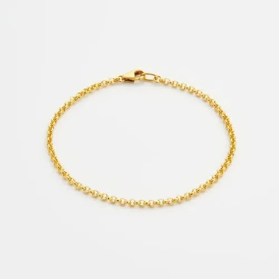 7879 Rolo Chain Bracelet In Gold
