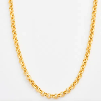 7879 Rolo Chain Necklace