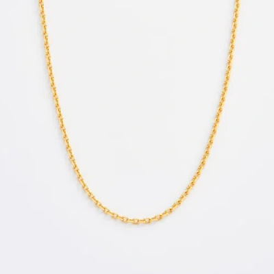 7879 Wide Diamond Cut Cable Chain Necklace In Burgundy