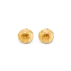 7879 Women's Gold Circle Stud Earrings