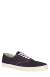 Sperry Men's Striper Ii Cvo Pride Cotton Lace-up Sneakers In Navy