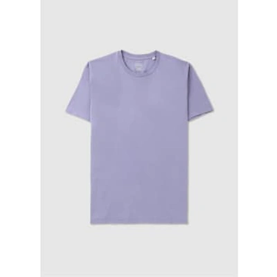 Colorful Standard Mens Classic Organic T-shirt In Purple Jade