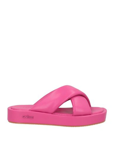 Gaelle Paris Gaëlle Paris Woman Sandals Fuchsia Size 11 Rubber In Pink