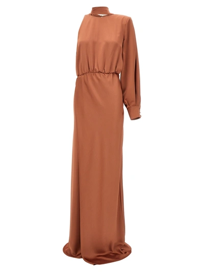 Pinko Ansonica Dresses Pink In Brown