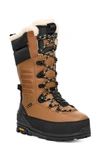 Ugg Shasta Gore-tex Tall Boots In Chestnut