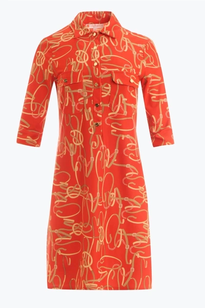 Jude Connally Megan Dress In Belt Border Tangerine In Pink