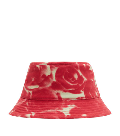 Burberry Rose Print Bucket Hat In Pink