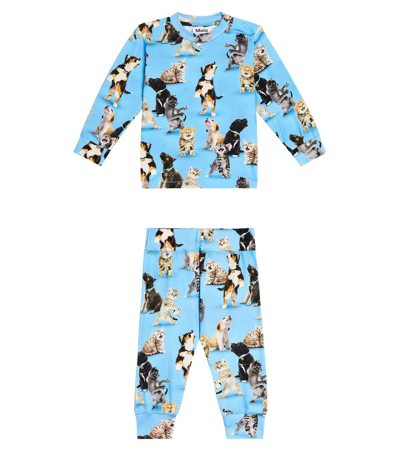 Molo Babies' Eloy运动衫与sammy裤装套装 In Multicoloured