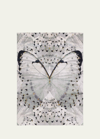 The Rug Company X Alexander Mcqueen Glasswings Hand-knotted Rug, 6' X 9' In Grey Multi