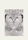 THE RUG COMPANY X ALEXANDER MCQUEEN GLASSWINGS HAND-KNOTTED RUG, 8' X 10'