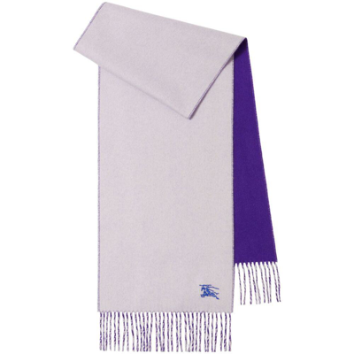 Burberry Scarves In Purple