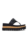 Stella Mccartney Black Thong Sandals With Sneak-elyse Platform In Black