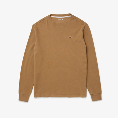 Lacoste Men's Lounge T-shirt In Brown