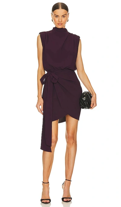 Amanda Uprichard Fabiola Mini Dress In Black Cherry