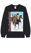 JUNK FOOD BUDWEISER CLYDESDALE SWEATSHIRT