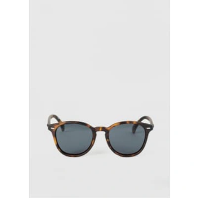 Le Specs Womens Bandwagon Tort Classic Frame Sunglasses In Brown