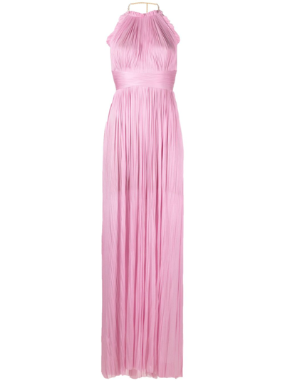 Maria Lucia Hohan Summer Pleated Silk Gown In Pink