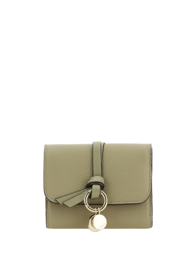 Chloé Wallets In Pottery Green