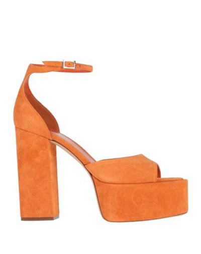 Paris Texas Woman Sandals Orange Size 10 Calfskin
