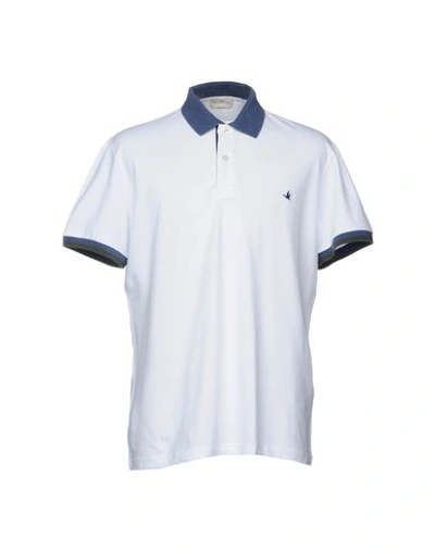 Brooksfield Man Polo Shirt White Size 48 Cotton, Elastane