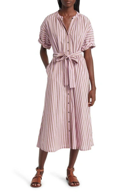 Xirena Liora Striped A-line Cotton Midi Shirtdress In Fig Stripe