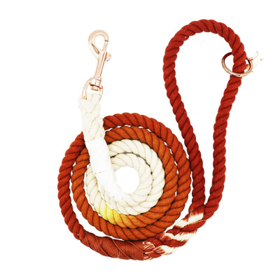 Sassy Woof Dog Rope Leash In Orange