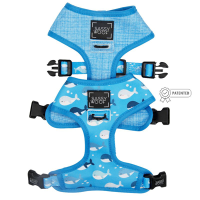 Sassy Woof Dog Reversible Harness In Blue