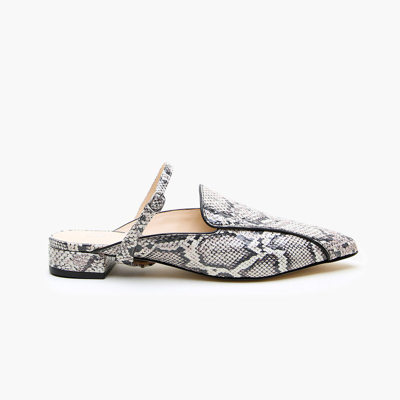 Alterre Python Pointed Loafer + Twiggy Strap In Gray