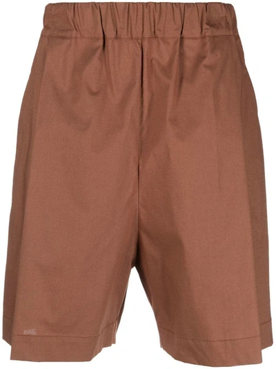 Laneus Poplin Cotton Shorts In Cioccolato