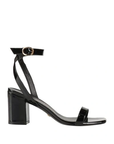 Stuart Weitzman Woman Sandals Black Size 8 Leather