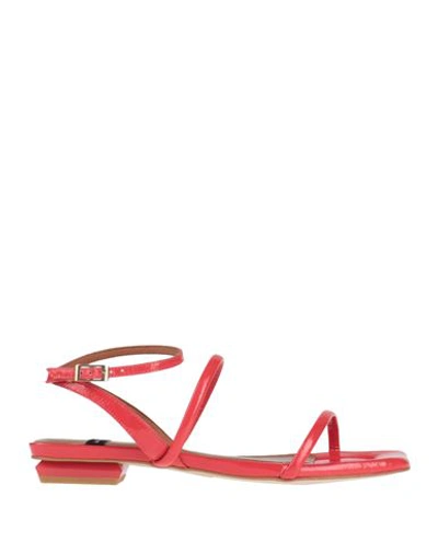 Angel Alarcon Toe Strap Sandals In Pink