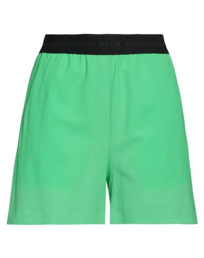 Msgm Woman Shorts & Bermuda Shorts Light Green Size 8 Virgin Wool, Elastane