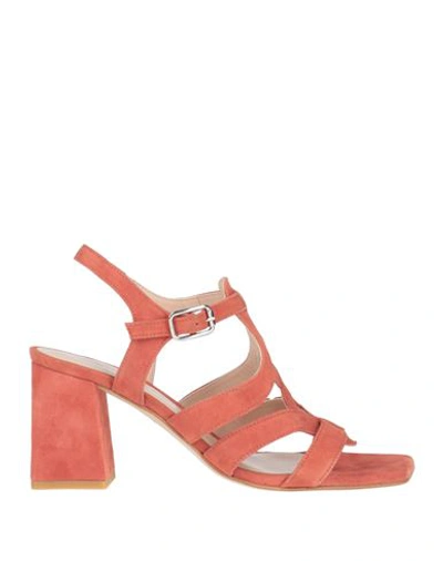 Zinda Woman Sandals Rust Size 12 Leather In Red