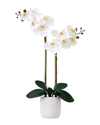 NEARLY NATURAL NEARLY NATURAL REAL TOUCH 26IN ARTIFICIAL DOUBLE ORCHID PHALAENOPSIS WITH DECORATIVE VASE