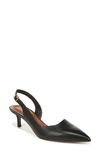 Sarto By Franco Sarto Kimberly Half D'orsay Pointed Toe Kitten Heel Pump In Black