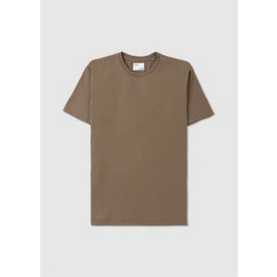 Colorful Standard Mens Classic Organic T-shirt In Warm Taupe In Brown