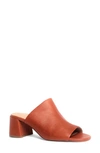 Anthony Veer Lotte Clog Sandal In Exuberance