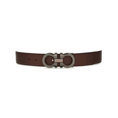 Ferragamo Salvatore  Belts In Brown/black