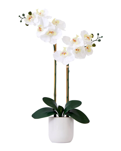 Nearly Natural Real Touch 26in Artificial Double Orchid Phalaenopsis With Decorative Vase In White