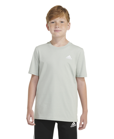 Adidas Originals Kids' Big Boys Short Sleeve Essential Embroidered Logo T-shirt In Wonder Silver