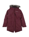 Columbia Nordic Strider Jkt-red Lily Heathe Toddler Girl Jacket Garnet Size 4 Nylon, Polyester, Moda In Red