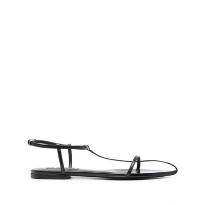 Jil Sander Black Polka Dot Pointy Toe Flat Sandals In Nero