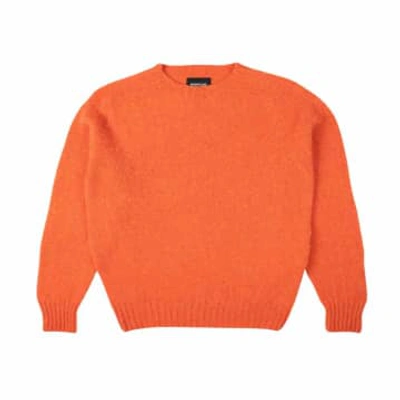 Howlin' Forevernevermore Knitwear In Orange