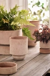 Terrain Bergs Hoff Terracotta Pot