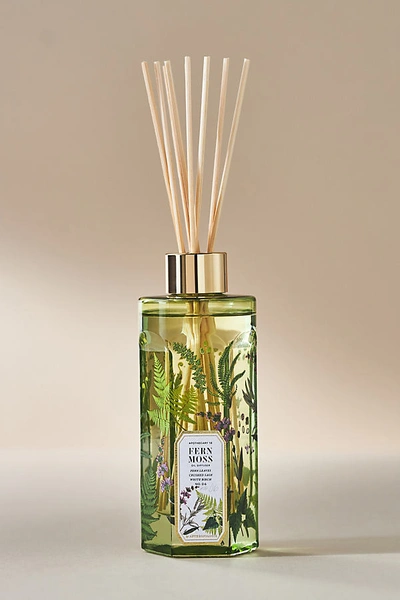 Apothecary 18 By Anthropologie Apothecary 18 Fresh Fern Moss Reed Diffuser In Green