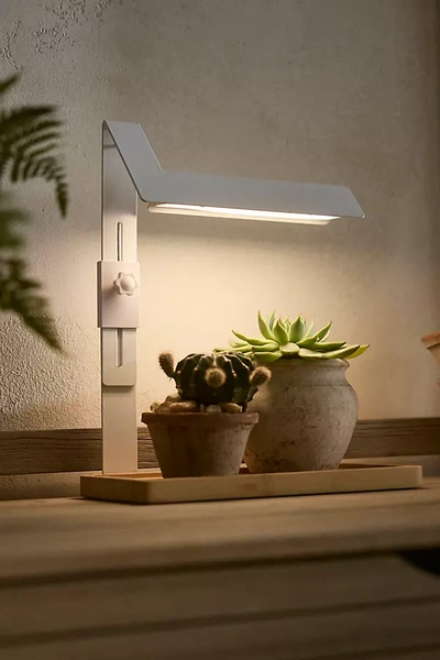 Terrain Led Rectangle Grow Light In Gray