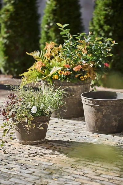 Terrain Rivet Rim Galvanized Taper Planter