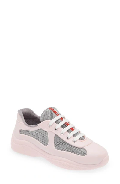 Prada America's Cup Sneaker In Alabaster Pink/ Grey