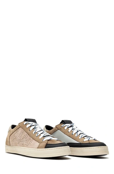 P448 Janet Sneaker In Tortora